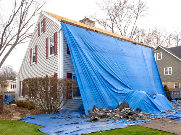 Best Shed Removal  in Toro Nyon, CA